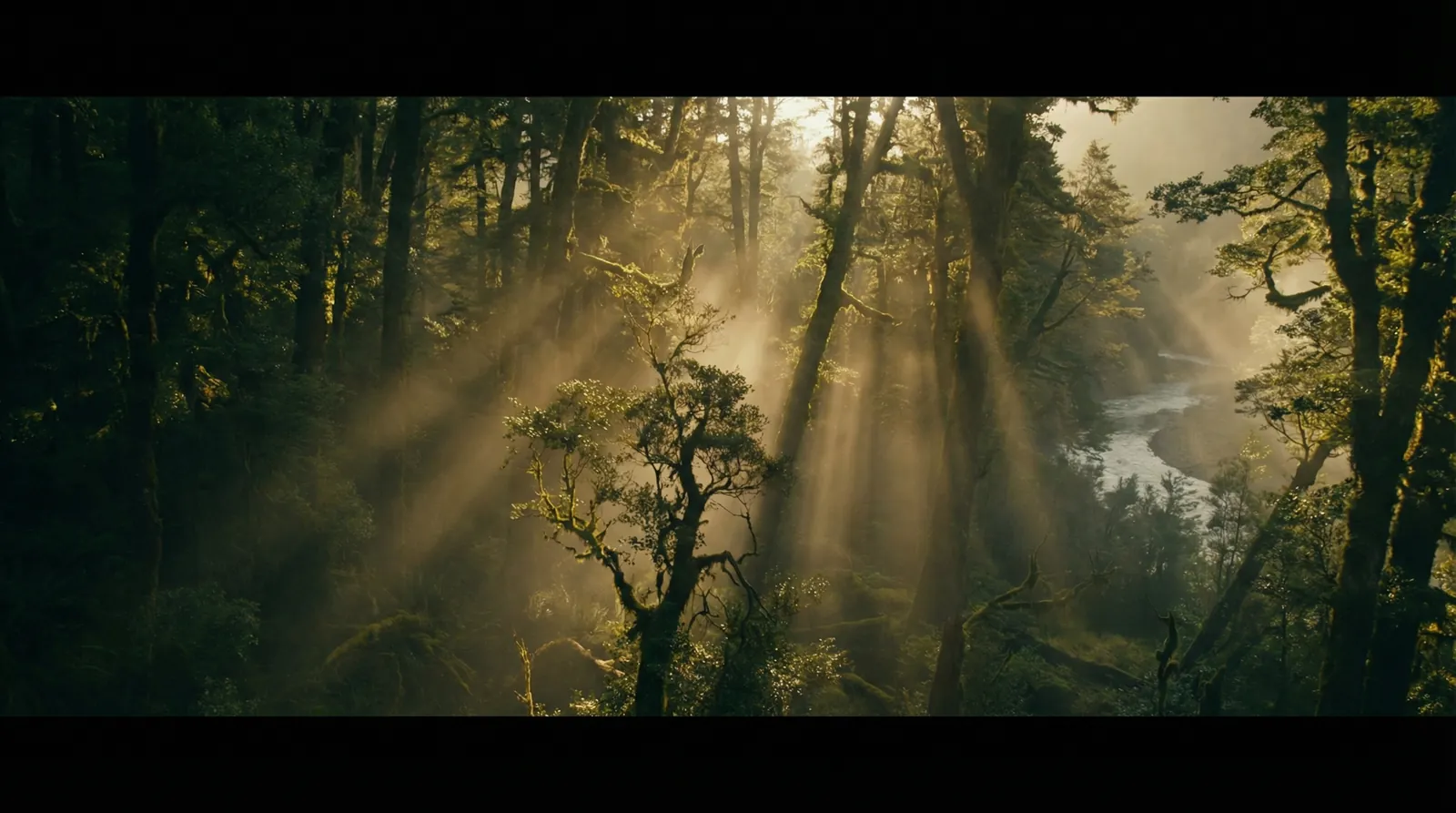 b体育平台娱乐 自然纪录片风格调色案例